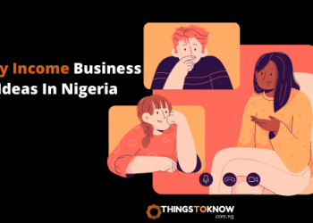 Daily Income Business Ideas In Nigeria