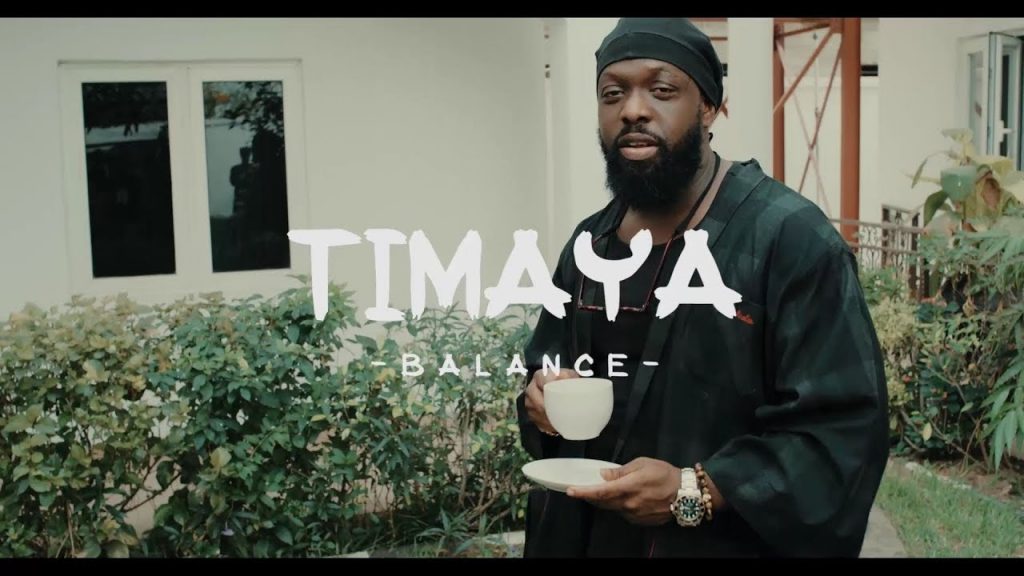 Timaya Net Worth