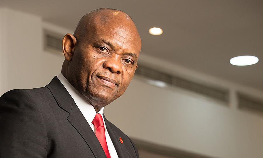 Tony Elumelu net worth