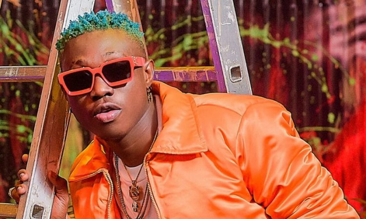 Zlatan Ibile Net Worth