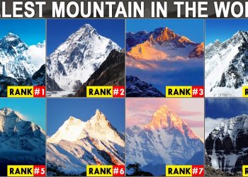 The name of the highest mountain in the world is 'Mount Everest'.