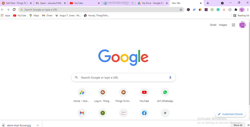 Google Chrome Browser