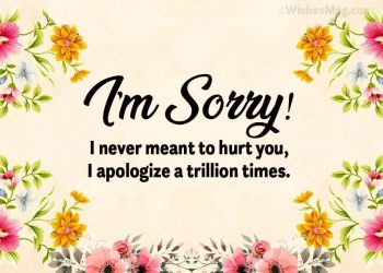 Apology Messages To Your Lover